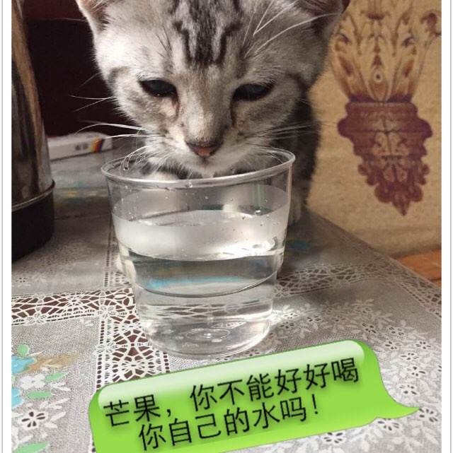 九州工業大学硕士学位证